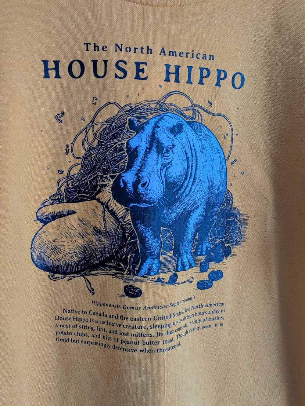 Black Maple House Hippo Sweatshirt, Golden Yellow Heritage Minute, Size M - Picture 5 of 8